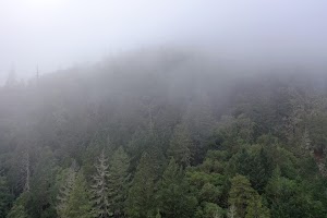 DJI_0670.JPG