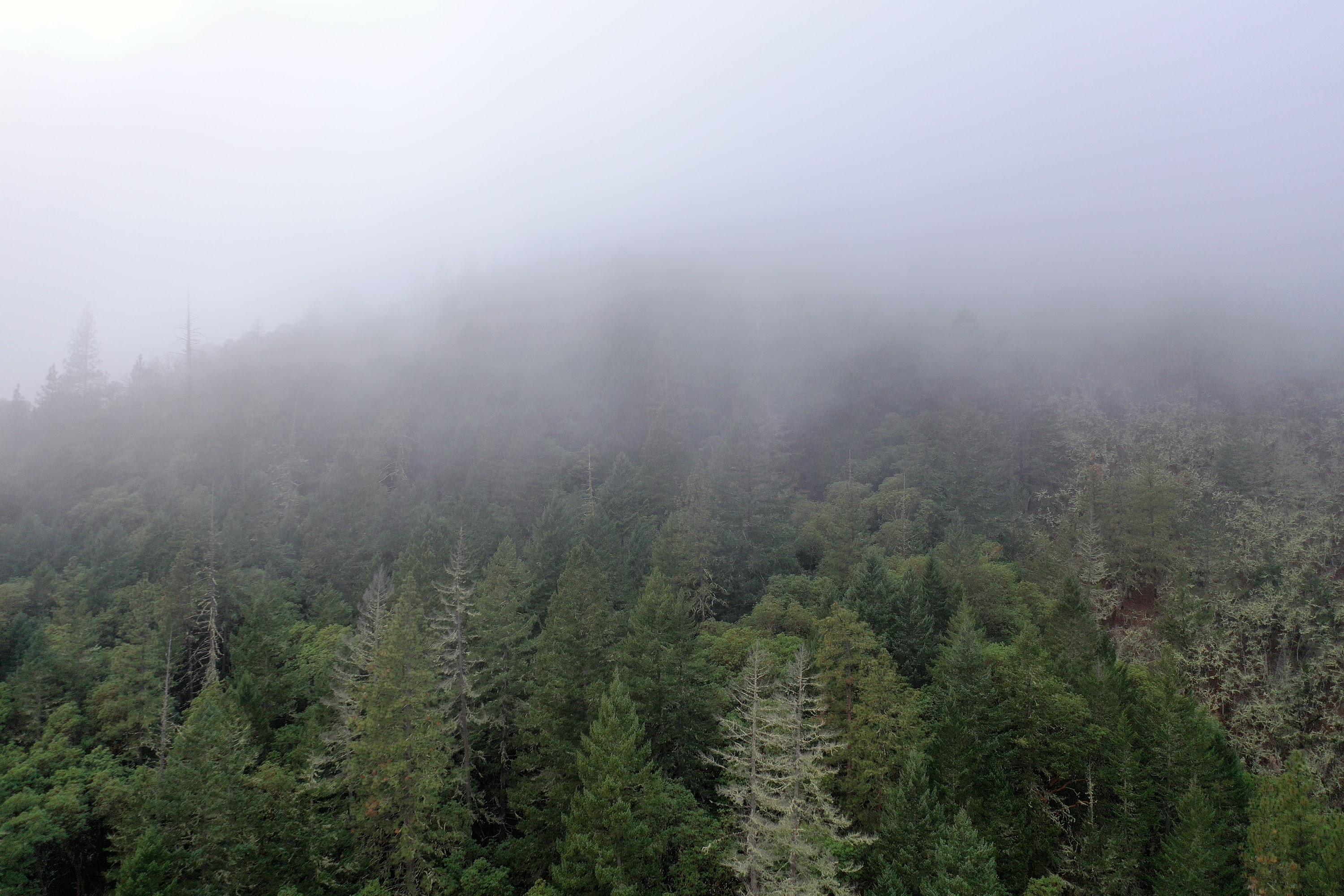 DJI_0671.JPG