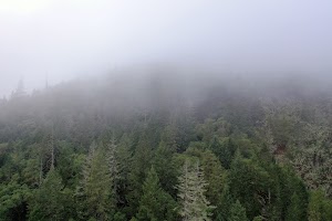 DJI_0671.JPG