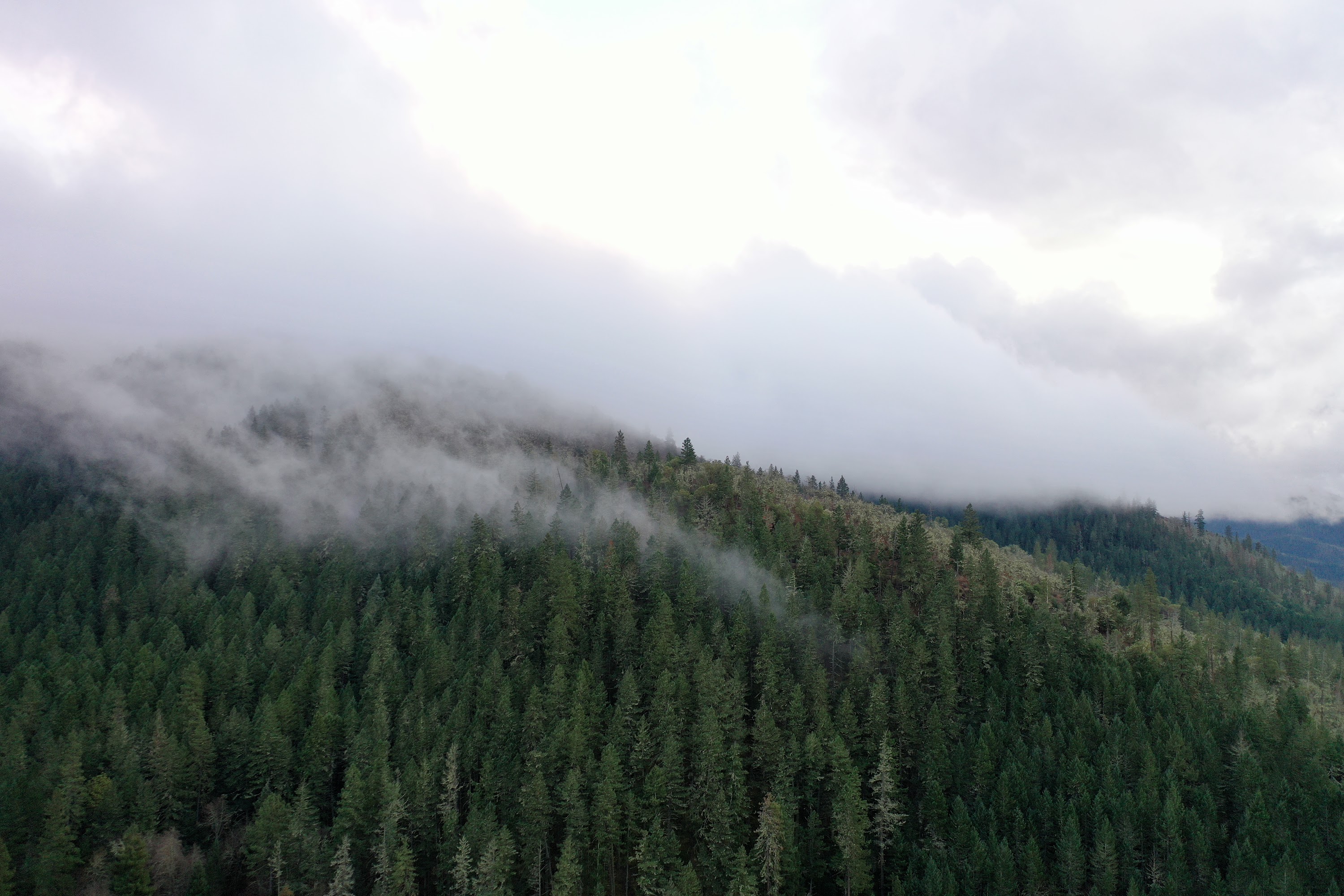 DJI_0676.JPG