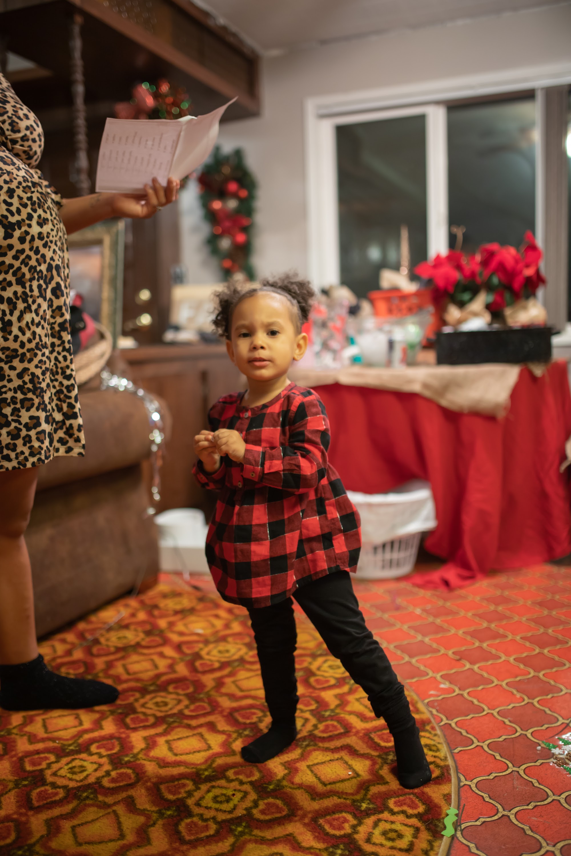 Young Girl in Red Plaid Dress at Holiday Gathering