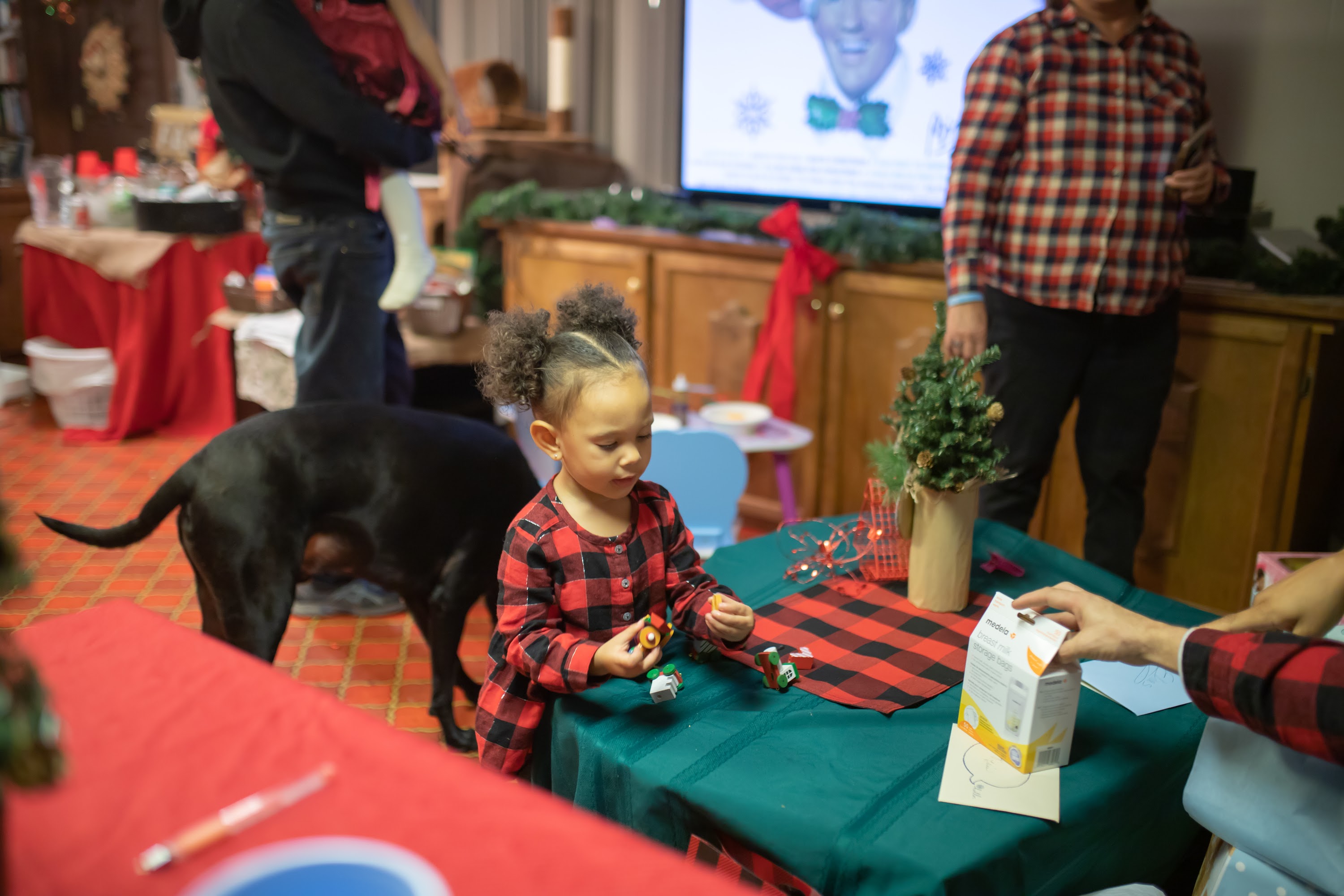 Child in Plaid at Holiday Gathering