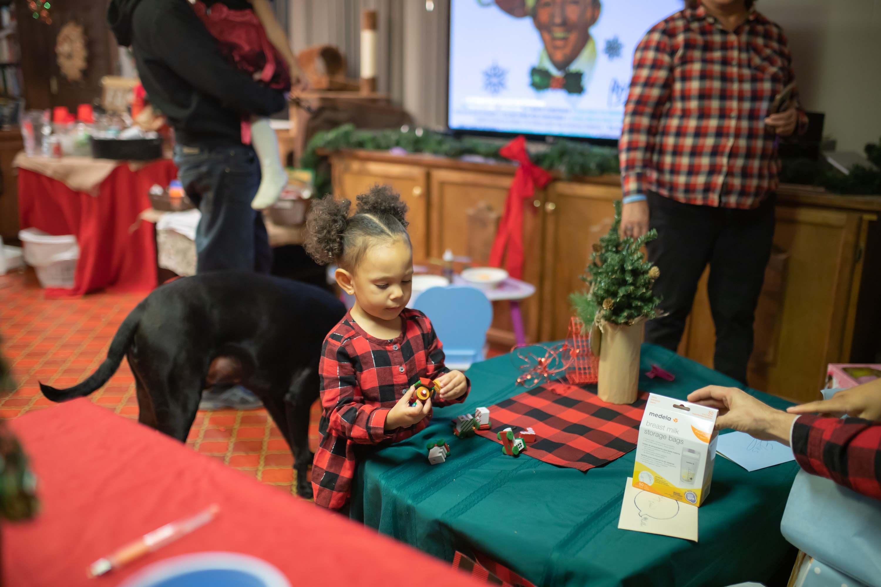 Child in Plaid Dress Decorating Holiday Table