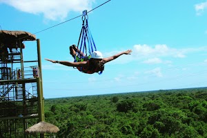 Selvatica.jpg