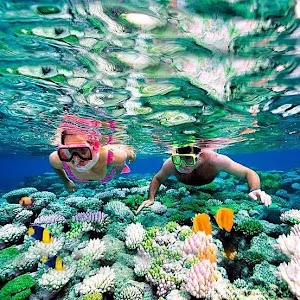 ReefCozumel.jpg