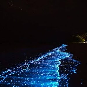 LuminicenceHolbox.jpg