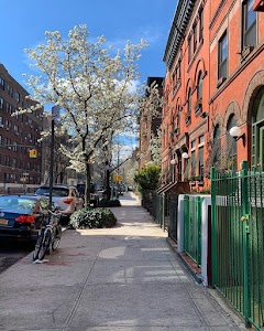 Harlem1.jpg