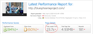 bluesphoenixproject.com.png
