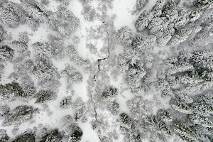 DJI_0521.JPG