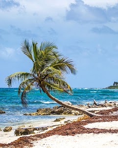 Akumal.jpg