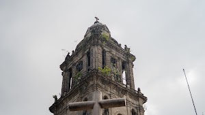 DSC02594.jpg