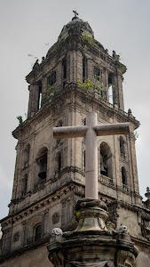DSC02595.jpg