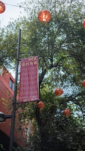 DCZ02737.jpg