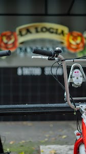 DCZ03284.jpg