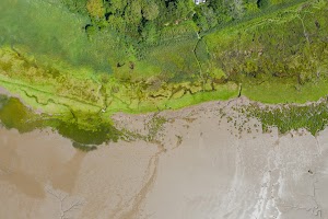 DJI_0795.jpg