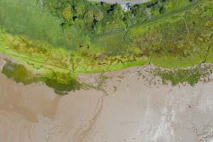 DJI_0796.jpg
