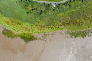 DJI_0800.jpg