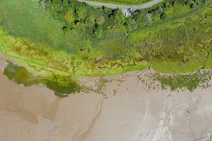 DJI_0801.jpg