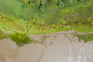 DJI_0805.jpg