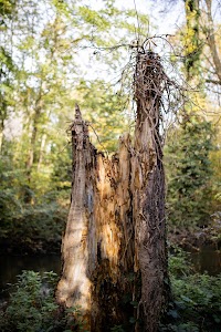 EOSR0570.jpg