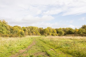 EOSR0581.jpg