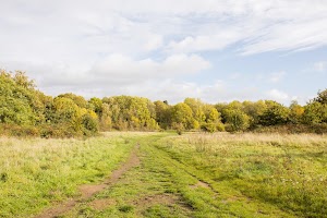EOSR0582.jpg