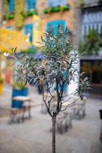 EOSR4123.jpg