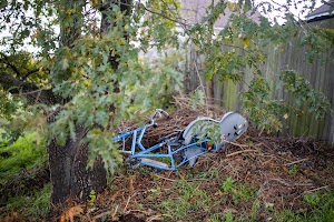 EOSR3622.jpg