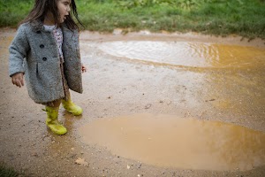 EOSR3695.jpg