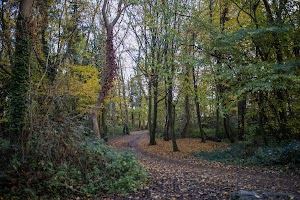 EOSR3729-Editar.jpg