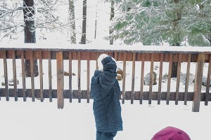IMG_0387.jpg