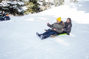 IMG_0617.jpg