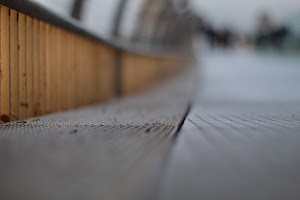 IMG_0981.jpg