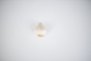 EOSR5427.jpg