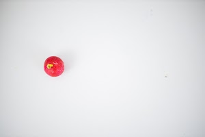 EOSR5438.jpg