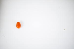 EOSR5439.jpg