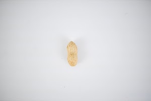 EOSR5491.jpg