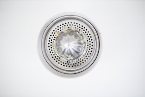 EOSR5508.jpg