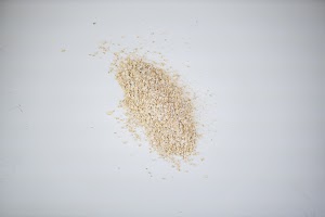 EOSR5523.jpg