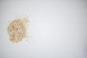 EOSR5527.jpg