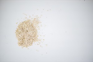 EOSR5530.jpg