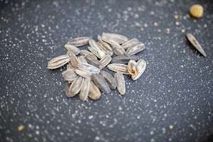 EOSR5978.jpg
