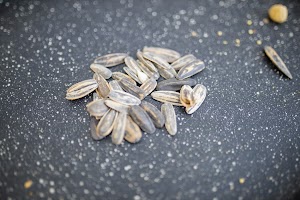EOSR5979.jpg