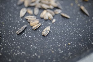 EOSR5987.jpg