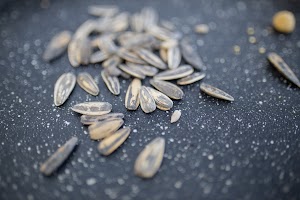 EOSR5991.jpg