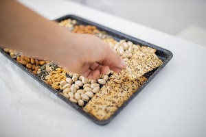 EOSR6030.jpg