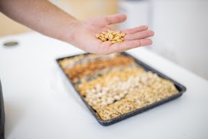 EOSR6055.jpg