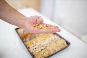 EOSR6057.jpg