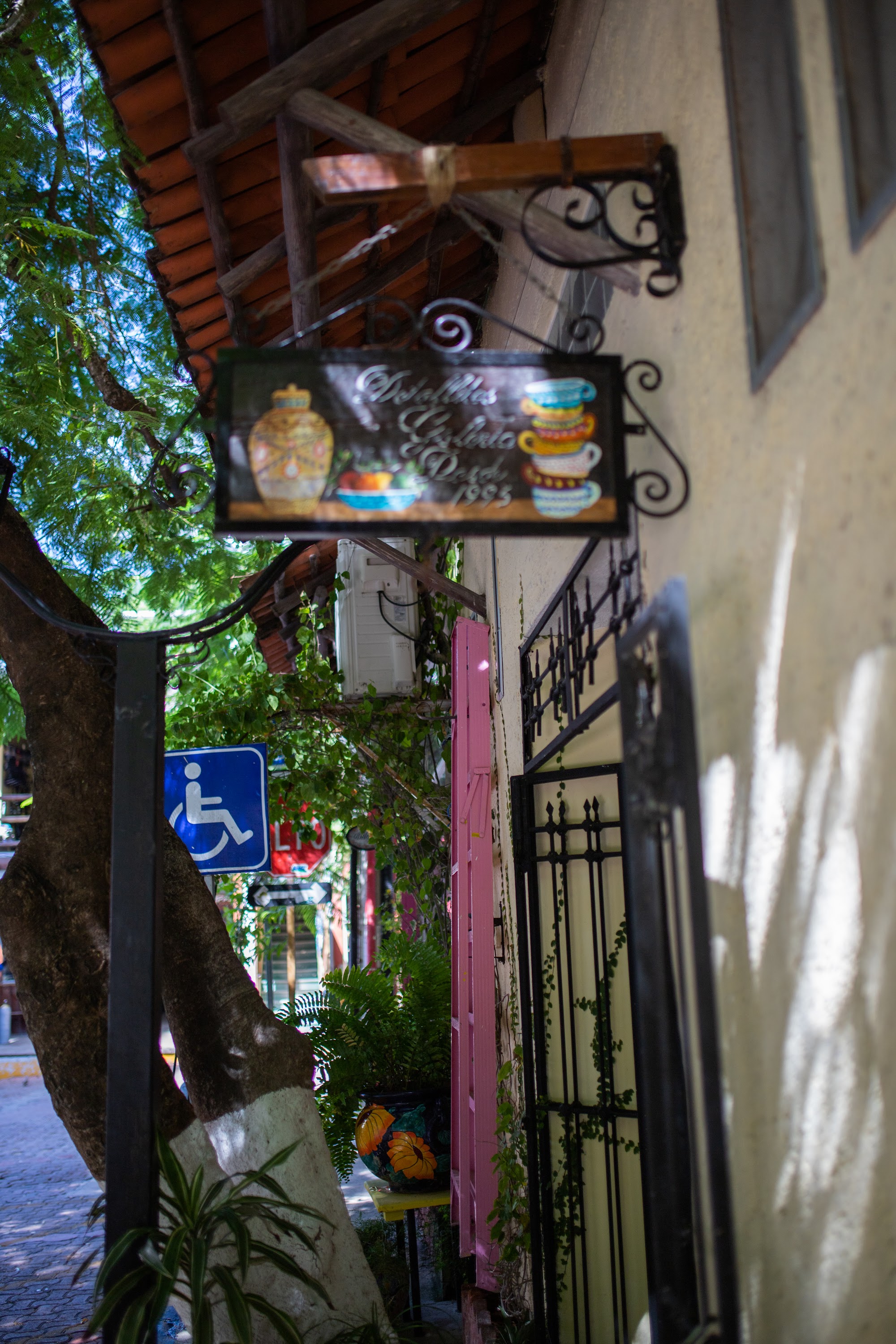 _MG_2573.jpg