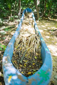 _MG_2626.jpg